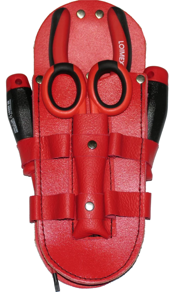 • Bolsa de cuero con 4 herramientas.<br>
• Uso con cinturón.<br>
• Contiene: <br>
   - Alicate Universal  10.25.19<br> 
   - Tijeras electricista 78.85.15<br>
   - Destornillador estrella  636/1<br>
   - Destornillador plano 647/4x100<br>